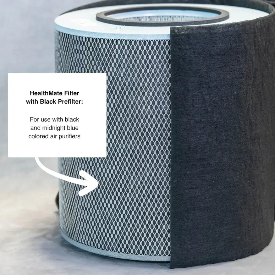 Austin Air HealthMate replacement filter — black