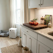 kitchen counter and living space with austin air healthmate plus jr air purifier